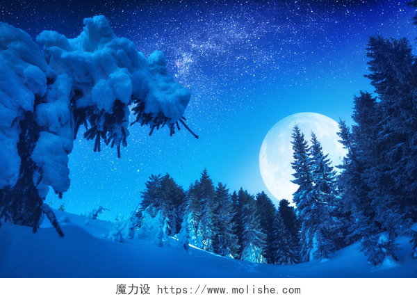 夜空下的森林雪景精彩的满月在冬天的山谷中兴起
